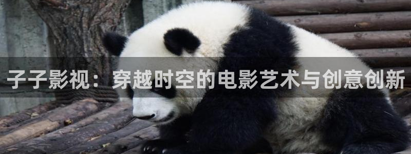 金枝欲孽免费观看全集西瓜