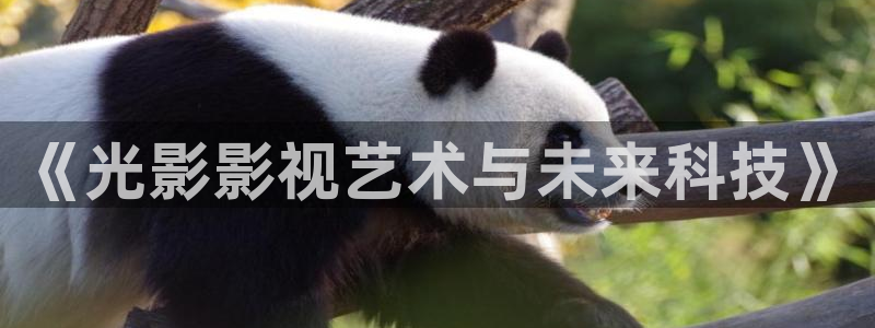 西瓜音影网