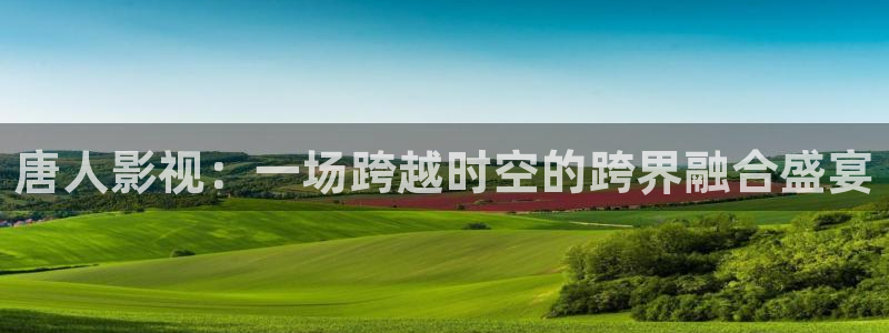 无证之罪免费观看西瓜