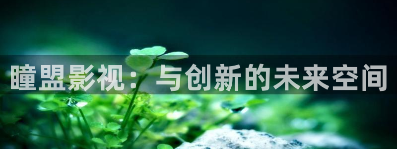 建军大业电影在线观看西瓜