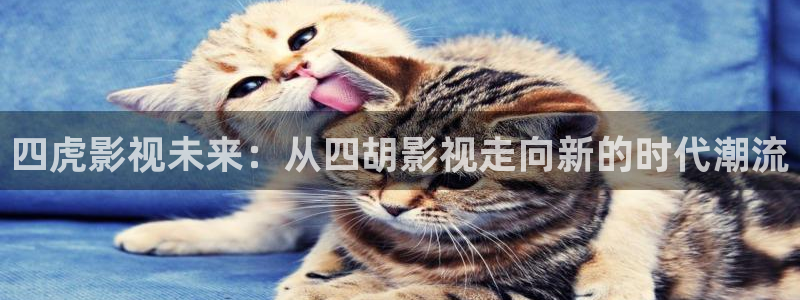 锦衣之下在线观看西瓜
