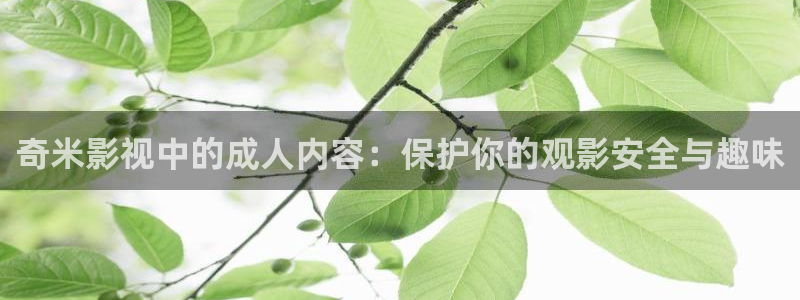 大宋宫词免费观看西瓜